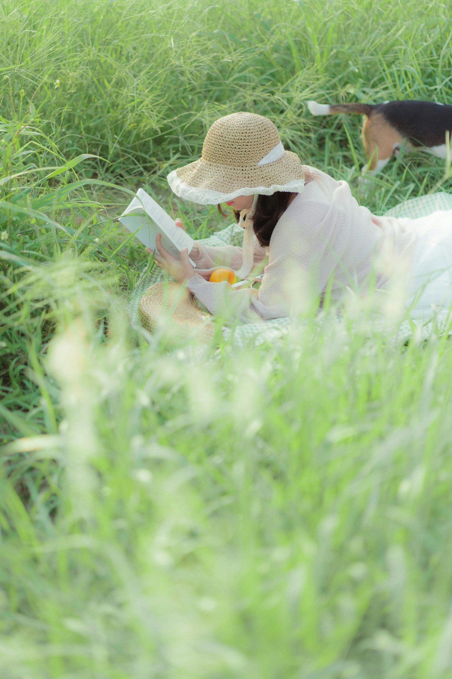 Nature Books