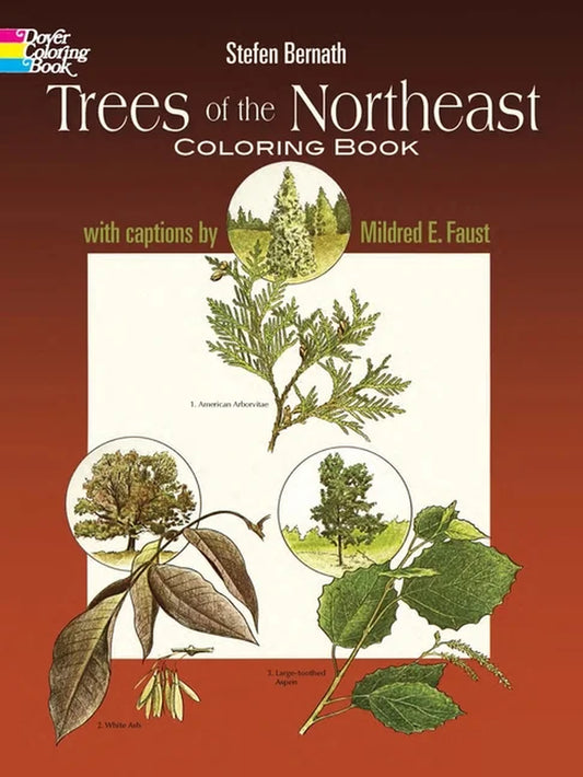 Dover Nature Coloring Book: Trees of the Northeast Coloring Book (Paperback)